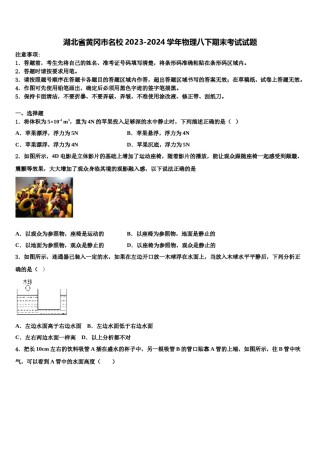 湖北省黄冈市名校2023-2024学年物理八下期末考试试题含解析.doc