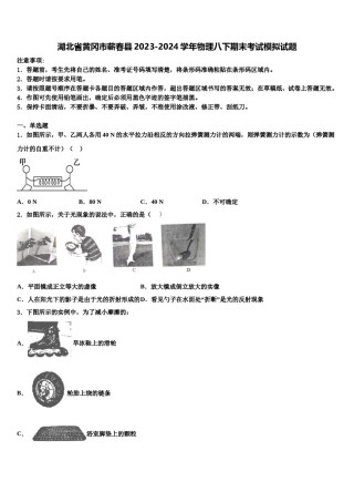 湖北省黄冈市蕲春县2023-2024学年物理八下期末考试模拟试题含解析.doc