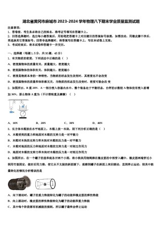 湖北省黄冈市麻城市2023-2024学年物理八下期末学业质量监测试题含解析.doc