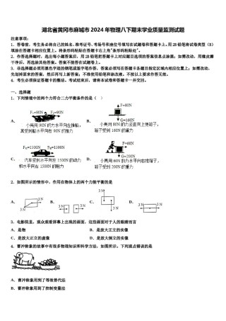 湖北省黄冈市麻城市2024年物理八下期末学业质量监测试题含解析.doc