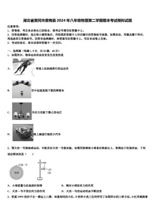 湖北省黄冈市黄梅县2024年八年级物理第二学期期末考试模拟试题含解析.doc