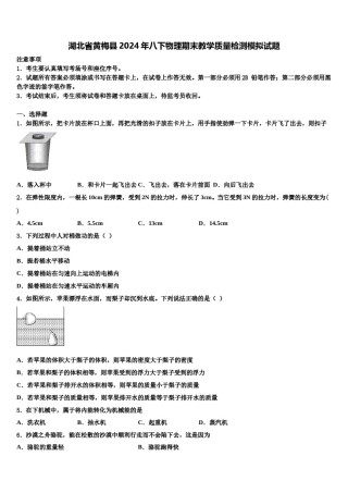 湖北省黄梅县2024年八下物理期末教学质量检测模拟试题含解析.doc