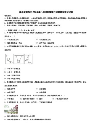 湖北省黄石市2024年八年级物理第二学期期末考试试题含解析.doc