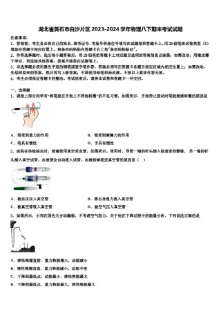 湖北省黄石市白沙片区2023-2024学年物理八下期末考试试题含解析.doc