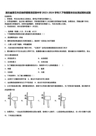 湖北省黄石市还地桥镇南湾初级中学2023-2024学年八下物理期末综合测试模拟试题含解析.doc
