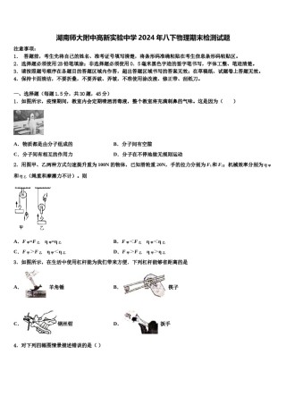 湖南师大附中高新实验中学2024年八下物理期末检测试题含解析.doc