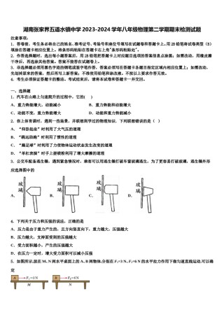 湖南张家界五道水镇中学2023-2024学年八年级物理第二学期期末检测试题含解析.doc