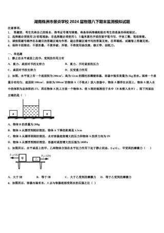 湖南株洲市景炎学校2024届物理八下期末监测模拟试题含解析.doc