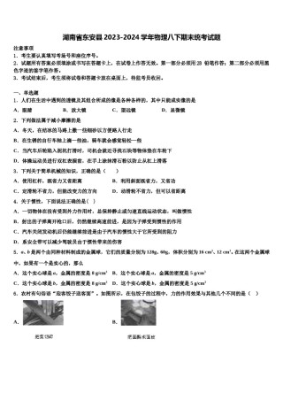 湖南省东安县2023-2024学年物理八下期末统考试题含解析.doc