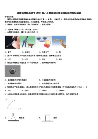 湖南省凤凰县联考2024届八下物理期末质量跟踪监视模拟试题含解析.doc
