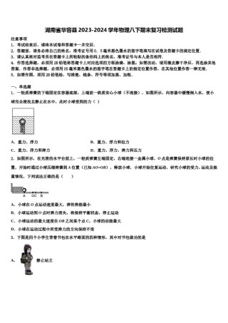 湖南省华容县2023-2024学年物理八下期末复习检测试题含解析.doc