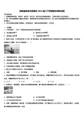 湖南省娄底市娄星区2024届八下物理期末调研试题含解析.doc
