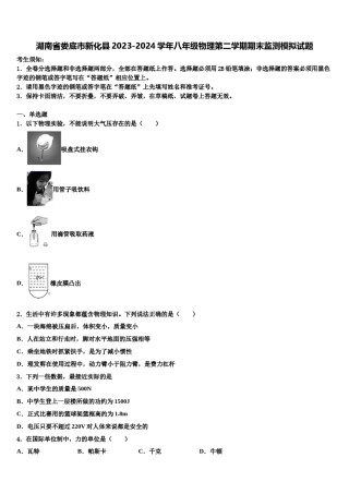 湖南省娄底市新化县2023-2024学年八年级物理第二学期期末监测模拟试题含解析.doc
