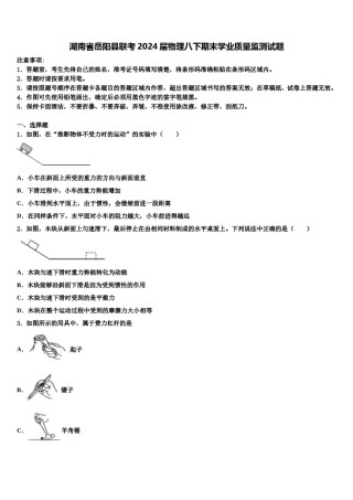 湖南省岳阳县联考2024届物理八下期末学业质量监测试题含解析.doc