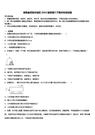 湖南省岳阳市城区2024届物理八下期末检测试题含解析.doc