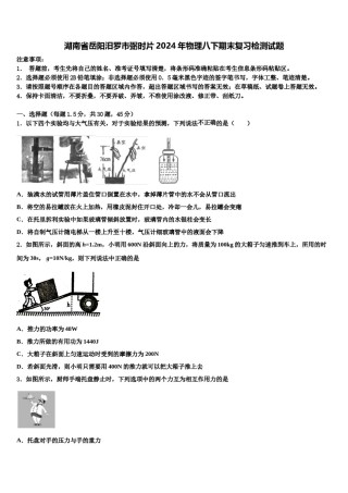 湖南省岳阳汨罗市弼时片2024年物理八下期末复习检测试题含解析.doc