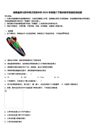 湖南省师大附中博才实验中学2024年物理八下期末教学质量检测试题含解析.doc