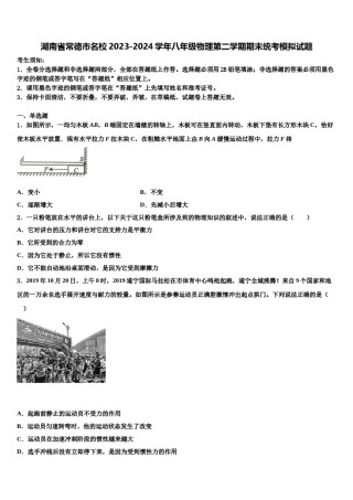 湖南省常德市名校2023-2024学年八年级物理第二学期期末统考模拟试题含解析.doc