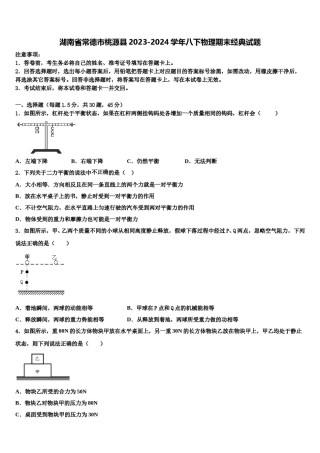 湖南省常德市桃源县2023-2024学年八下物理期末经典试题含解析.doc