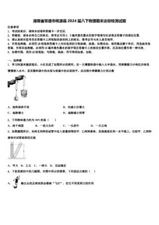 湖南省常德市桃源县2024届八下物理期末达标检测试题含解析.doc
