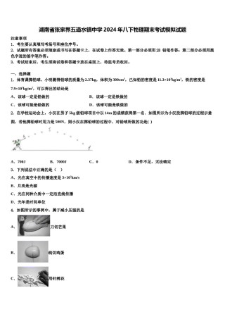 湖南省张家界五道水镇中学2024年八下物理期末考试模拟试题含解析.doc