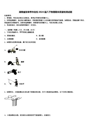 湖南省张家界市名校2024届八下物理期末质量检测试题含解析.doc