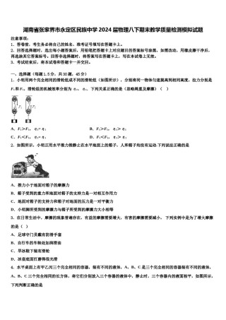湖南省张家界市永定区民族中学2024届物理八下期末教学质量检测模拟试题含解析.doc