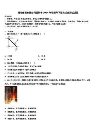 湖南省张家界慈利县联考2024年物理八下期末综合测试试题含解析.doc