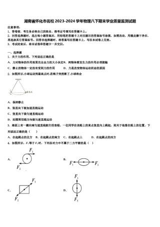 湖南省怀化市名校2023-2024学年物理八下期末学业质量监测试题含解析.doc