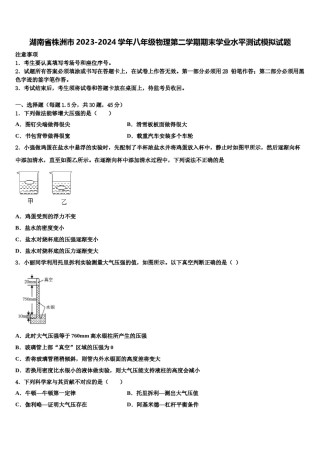 湖南省株洲市2023-2024学年八年级物理第二学期期末学业水平测试模拟试题含解析.doc