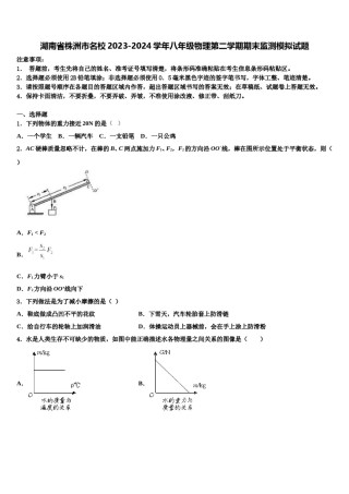 湖南省株洲市名校2023-2024学年八年级物理第二学期期末监测模拟试题含解析.doc