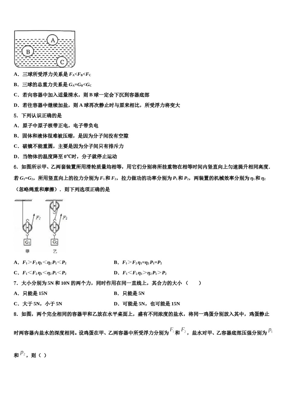 湖南省株洲市第十九中学2023-2024学年物理八下期末达标检测试题含解析.doc_第2页