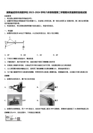 湖南省武冈市洞庭学校2023-2024学年八年级物理第二学期期末质量跟踪监视试题含解析.doc