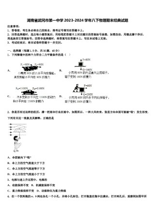 湖南省武冈市第一中学2023-2024学年八下物理期末经典试题含解析.doc
