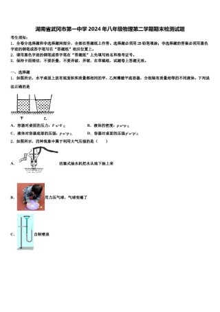 湖南省武冈市第一中学2024年八年级物理第二学期期末检测试题含解析.doc