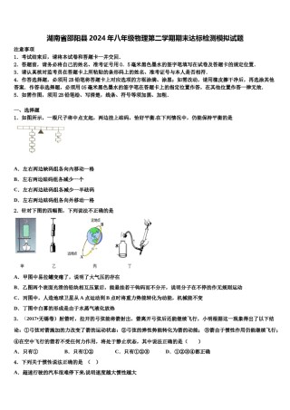 湖南省邵阳县2024年八年级物理第二学期期末达标检测模拟试题含解析.doc