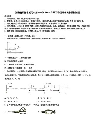 湖南省邵阳市武冈市第一中学2024年八下物理期末统考模拟试题含解析.doc