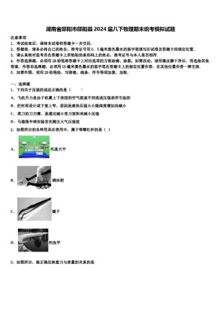湖南省邵阳市邵阳县2024届八下物理期末统考模拟试题含解析.doc