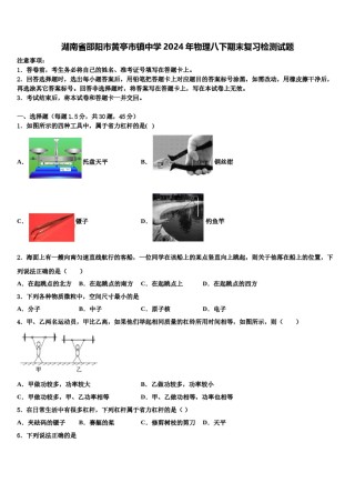 湖南省邵阳市黄亭市镇中学2024年物理八下期末复习检测试题含解析.doc