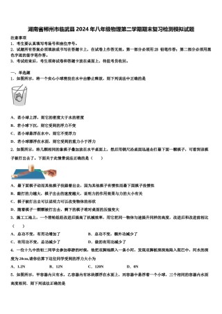 湖南省郴州市临武县2024年八年级物理第二学期期末复习检测模拟试题含解析.doc
