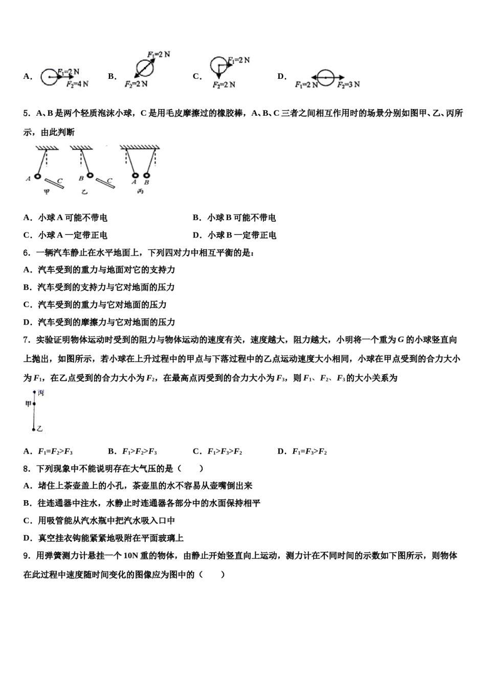 湖南省郴州市名校2023-2024学年八下物理期末综合测试试题含解析.doc_第2页