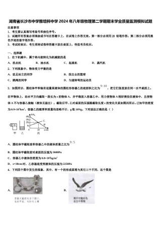 湖南省长沙市中学雅培粹中学2024年八年级物理第二学期期末学业质量监测模拟试题含解析.doc