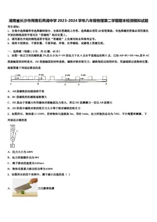 湖南省长沙市周南石燕湖中学2023-2024学年八年级物理第二学期期末检测模拟试题含解析.doc
