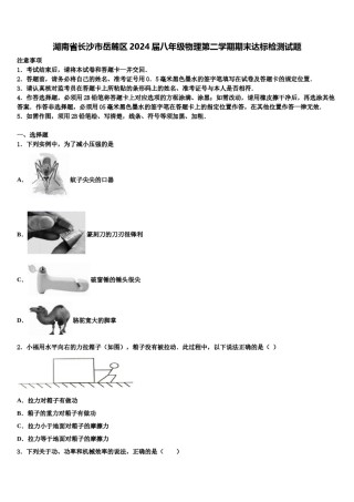 湖南省长沙市岳麓区2024届八年级物理第二学期期末达标检测试题含解析.doc
