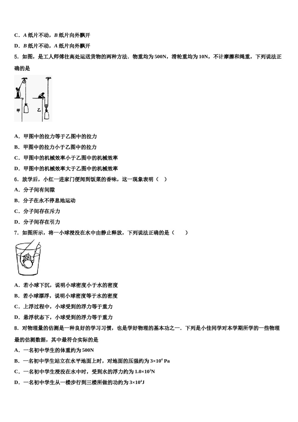 湖南省长沙市广益实验中学2023-2024学年八年级物理第二学期期末达标检测试题含解析.doc_第2页