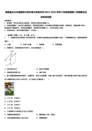 湖南省长沙市湖南师大附中博才实验中学2023-2024学年八年级物理第二学期期末达标检测试题含解析.doc