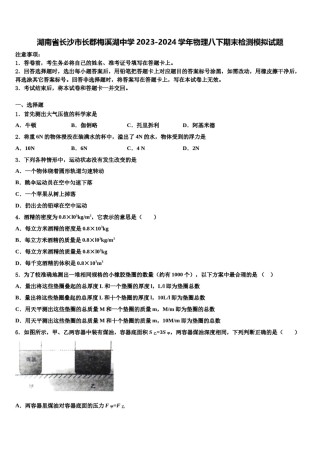 湖南省长沙市长郡梅溪湖中学2023-2024学年物理八下期末检测模拟试题含解析.doc