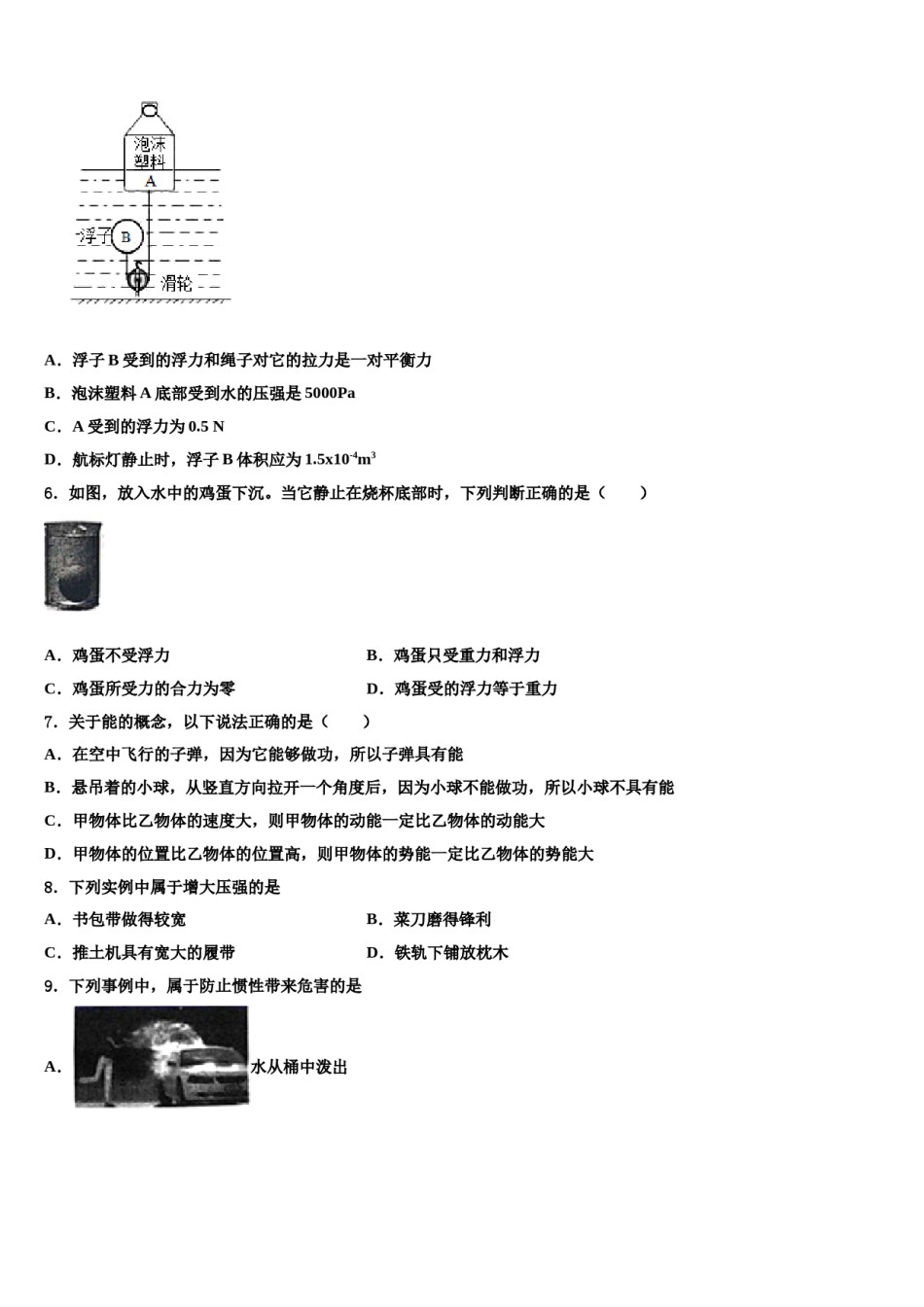 湖南省长沙市长郡芙蓉中学2023-2024学年八下物理期末学业水平测试试题含解析.doc_第2页