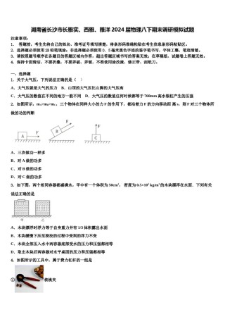 湖南省长沙市长雅实、西雅、雅洋2024届物理八下期末调研模拟试题含解析.doc