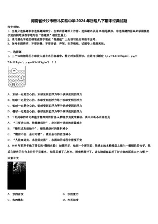 湖南省长沙市雅礼实验中学2024年物理八下期末经典试题含解析.doc